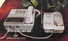 xdpcrdls2.jpg (7068 bytes)