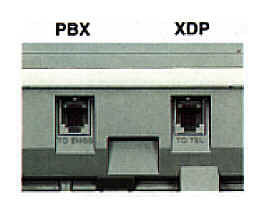 xdport.jpg (6617 bytes)